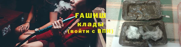 гидра Михайловка