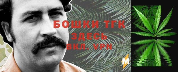 ECSTASY Мегион