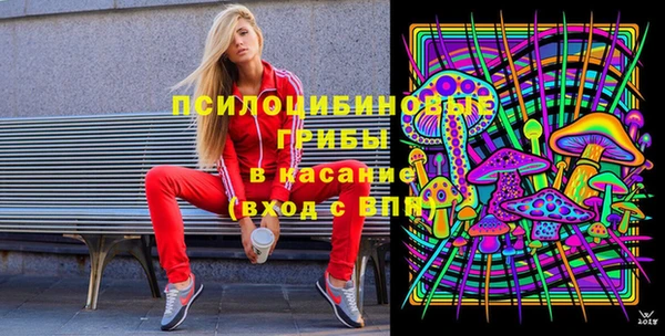 спиды Медвежьегорск