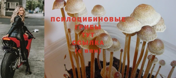 ECSTASY Мегион