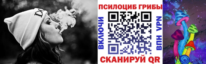 Псилоцибиновые грибы мицелий  как найти   Краснодар 