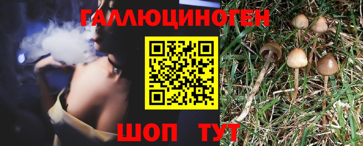 Псилоцибиновые грибы ЛСД Краснодар