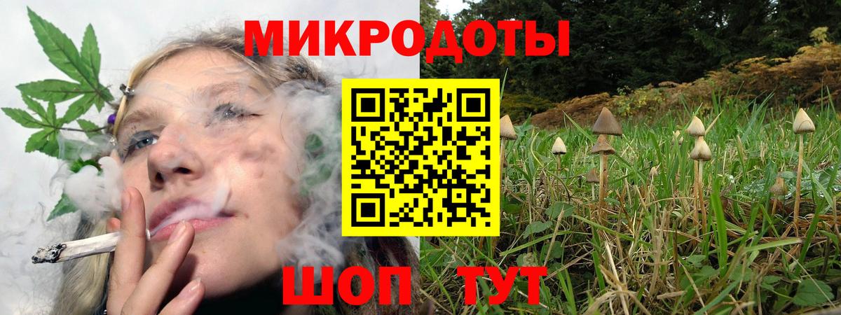 Псилоцибиновые грибы мицелий  где купить наркотик  Краснодар  Вход с VPN 