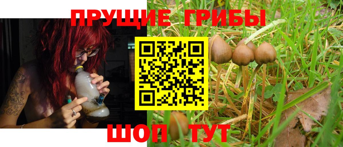 Галлюциногенные грибы GOLDEN TEACHER Краснодар